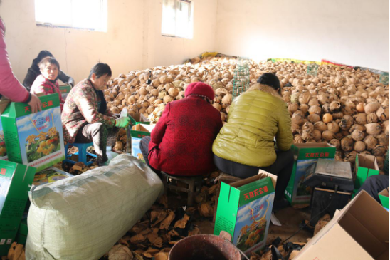 圖片關(guān)鍵詞